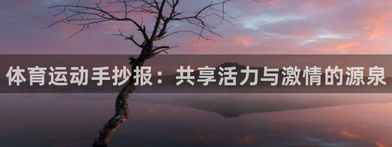 J9官网下载:体育运动手抄报:共享活力与激情的源泉